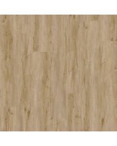 Paradigm Christina Collection Camelback