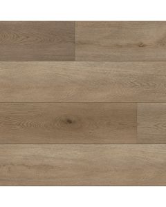 Paradigm Conquest Windsor