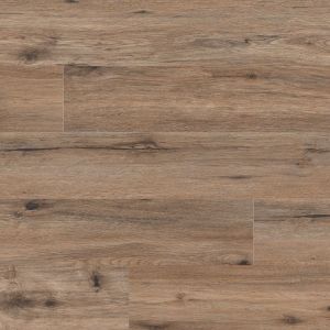 MSI XL Cyrus Fauna Luxury Vinyl Plank 