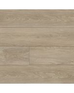 Paradigm Conquest Manor