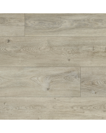 Paradigm Conquest Parliament 