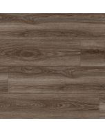 Paradigm Conquest Sherwood 